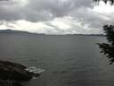 ./images/koeye/fitz-hugh/20200920/fitz-hugh20200920_105501.jpg