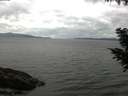 ./images/koeye/fitz-hugh/20200920/fitz-hugh20200920_110501.jpg