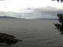 ./images/koeye/fitz-hugh/20200920/fitz-hugh20200920_111001.jpg
