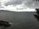 ./images/koeye/fitz-hugh/20200920/fitz-hugh20200920_113501.jpg