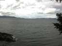 ./images/koeye/fitz-hugh/20200920/fitz-hugh20200920_114501.jpg