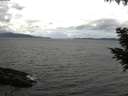 ./images/koeye/fitz-hugh/20200920/fitz-hugh20200920_115001.jpg