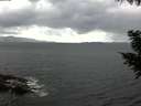 ./images/koeye/fitz-hugh/20200920/fitz-hugh20200920_122502.jpg