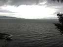 ./images/koeye/fitz-hugh/20200920/fitz-hugh20200920_125002.jpg