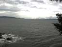 ./images/koeye/fitz-hugh/20200920/fitz-hugh20200920_125502.jpg