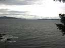 ./images/koeye/fitz-hugh/20200920/fitz-hugh20200920_130501.jpg