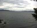 ./images/koeye/fitz-hugh/20200920/fitz-hugh20200920_131501.jpg