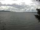 ./images/koeye/fitz-hugh/20200920/fitz-hugh20200920_135001.jpg