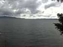./images/koeye/fitz-hugh/20200920/fitz-hugh20200920_141001.jpg
