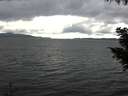 ./images/koeye/fitz-hugh/20200920/fitz-hugh20200920_142501.jpg