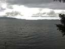 ./images/koeye/fitz-hugh/20200920/fitz-hugh20200920_144001.jpg