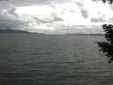 ./images/koeye/fitz-hugh/20200920/fitz-hugh20200920_152002.jpg