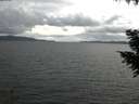 ./images/koeye/fitz-hugh/20200920/fitz-hugh20200920_152502.jpg