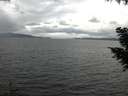 ./images/koeye/fitz-hugh/20200920/fitz-hugh20200920_153502.jpg