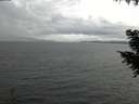 ./images/koeye/fitz-hugh/20200920/fitz-hugh20200920_154002.jpg