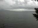 ./images/koeye/fitz-hugh/20200920/fitz-hugh20200920_154502.jpg
