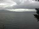 ./images/koeye/fitz-hugh/20200920/fitz-hugh20200920_155002.jpg