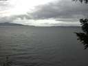 ./images/koeye/fitz-hugh/20200920/fitz-hugh20200920_155502.jpg