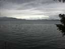 ./images/koeye/fitz-hugh/20200920/fitz-hugh20200920_163501.jpg