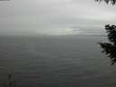 ./images/koeye/fitz-hugh/20200920/fitz-hugh20200920_165001.jpg