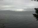 ./images/koeye/fitz-hugh/20200920/fitz-hugh20200920_165501.jpg