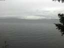 ./images/koeye/fitz-hugh/20200920/fitz-hugh20200920_170501.jpg