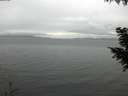 ./images/koeye/fitz-hugh/20200920/fitz-hugh20200920_171001.jpg