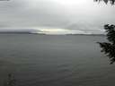./images/koeye/fitz-hugh/20200920/fitz-hugh20200920_171501.jpg