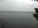 ./images/koeye/fitz-hugh/20200920/fitz-hugh20200920_174001.jpg