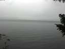 ./images/koeye/fitz-hugh/20200920/fitz-hugh20200920_174501.jpg