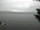 ./images/koeye/fitz-hugh/20200920/fitz-hugh20200920_175001.jpg