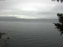 ./images/koeye/fitz-hugh/20200920/fitz-hugh20200920_175501.jpg