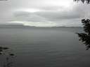 ./images/koeye/fitz-hugh/20200920/fitz-hugh20200920_180002.jpg