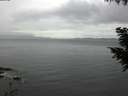 ./images/koeye/fitz-hugh/20200920/fitz-hugh20200920_180501.jpg