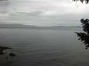 ./images/koeye/fitz-hugh/20200920/fitz-hugh20200920_181502.jpg