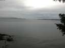 ./images/koeye/fitz-hugh/20200920/fitz-hugh20200920_182502.jpg
