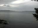 ./images/koeye/fitz-hugh/20200920/fitz-hugh20200920_183502.jpg