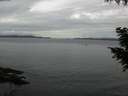 ./images/koeye/fitz-hugh/20200920/fitz-hugh20200920_185502.jpg