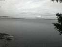 ./images/koeye/fitz-hugh/20200921/fitz-hugh20200921_064002.jpg