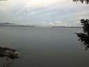 ./images/koeye/fitz-hugh/20200921/fitz-hugh20200921_065502.jpg