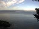 ./images/koeye/fitz-hugh/20200921/fitz-hugh20200921_084001.jpg