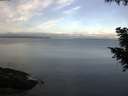 ./images/koeye/fitz-hugh/20200921/fitz-hugh20200921_084501.jpg