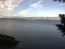 ./images/koeye/fitz-hugh/20200921/fitz-hugh20200921_085001.jpg