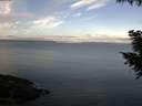 ./images/koeye/fitz-hugh/20200921/fitz-hugh20200921_090501.jpg