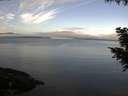 ./images/koeye/fitz-hugh/20200921/fitz-hugh20200921_092502.jpg