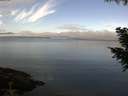 ./images/koeye/fitz-hugh/20200921/fitz-hugh20200921_093502.jpg