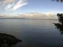 ./images/koeye/fitz-hugh/20200921/fitz-hugh20200921_094002.jpg