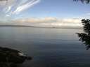 ./images/koeye/fitz-hugh/20200921/fitz-hugh20200921_094502.jpg