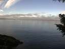 ./images/koeye/fitz-hugh/20200921/fitz-hugh20200921_095502.jpg