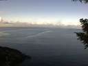 ./images/koeye/fitz-hugh/20200921/fitz-hugh20200921_103501.jpg
